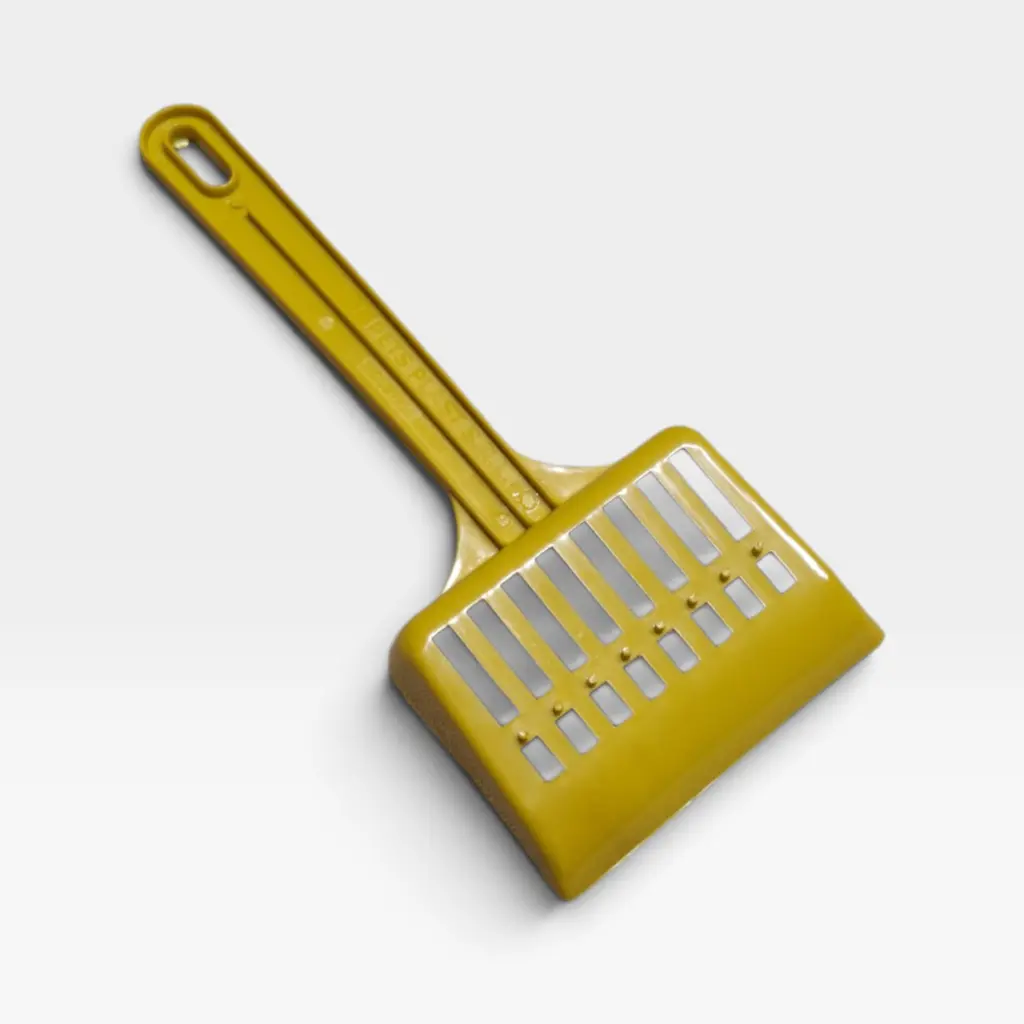 1001862143-Photoroom (1).webp