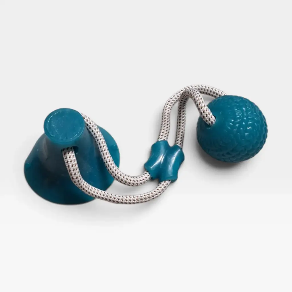 PELOTA CON VENTOSA AUTODIDACTA